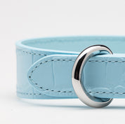 Jasnoniebieski obroża dla psa Baby Blue Croco Thin