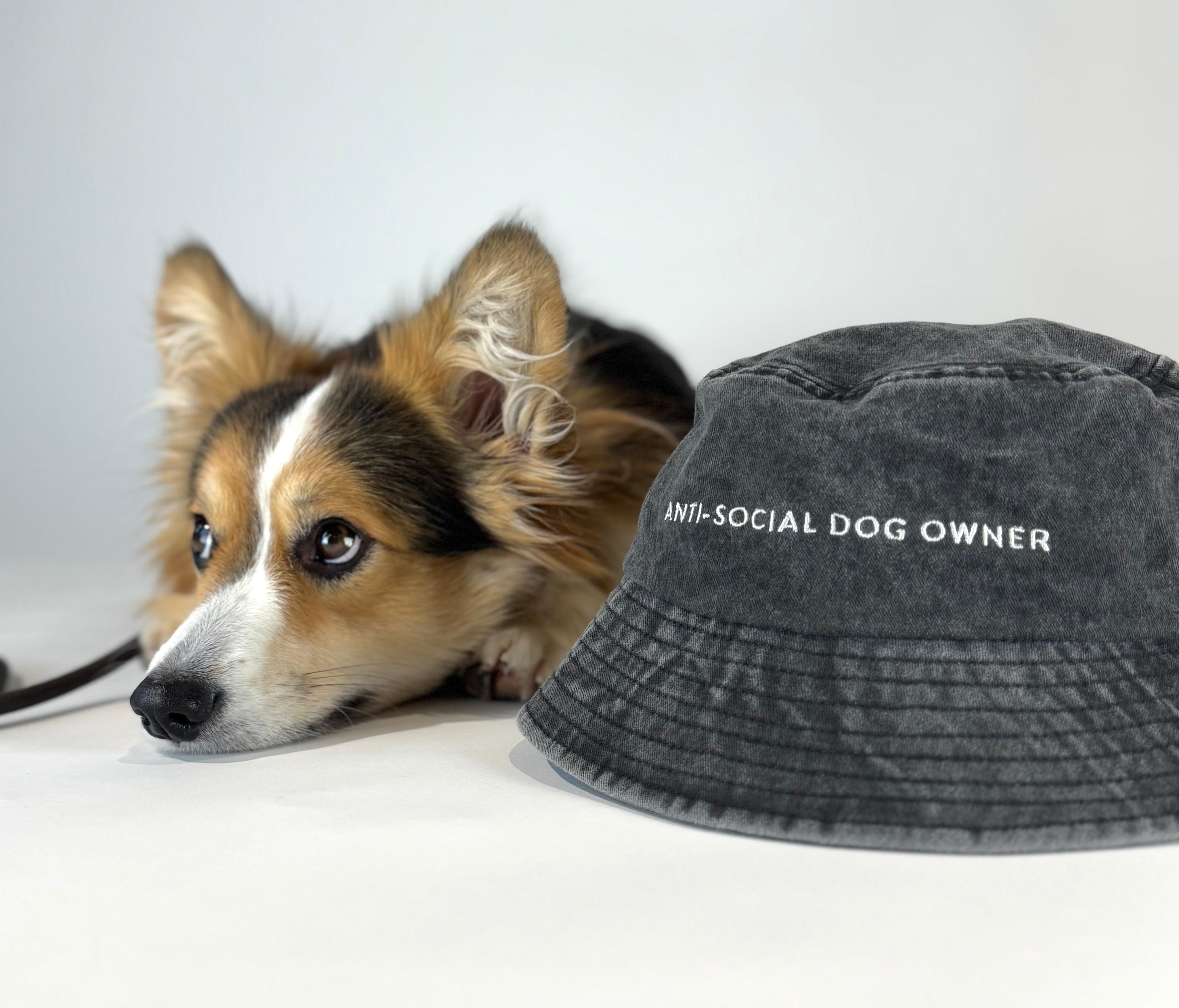 Czarny dżinsowy kapelusz kubełkowy - Anti-Social Dog Owner