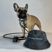 Czarny dżinsowy kapelusz kubełkowy - Anti-Social Dog Owner