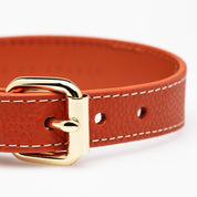 Smycz dla psa Cognac Thin