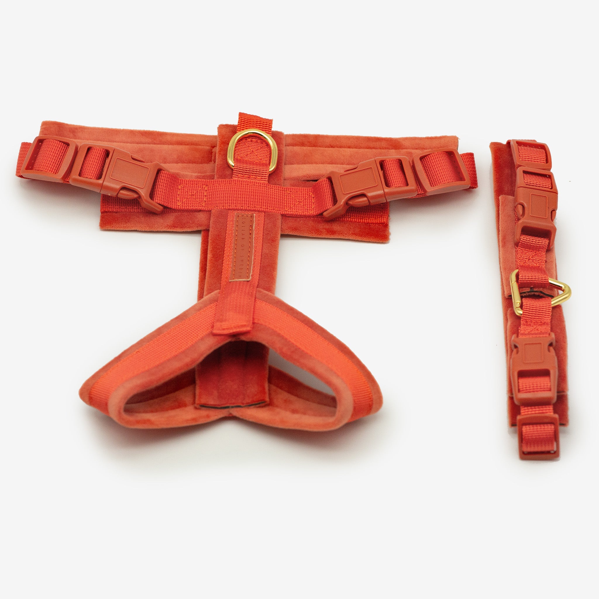 Koniakowy Y-Harness XS