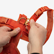 Koniakowy Y-Harness XS