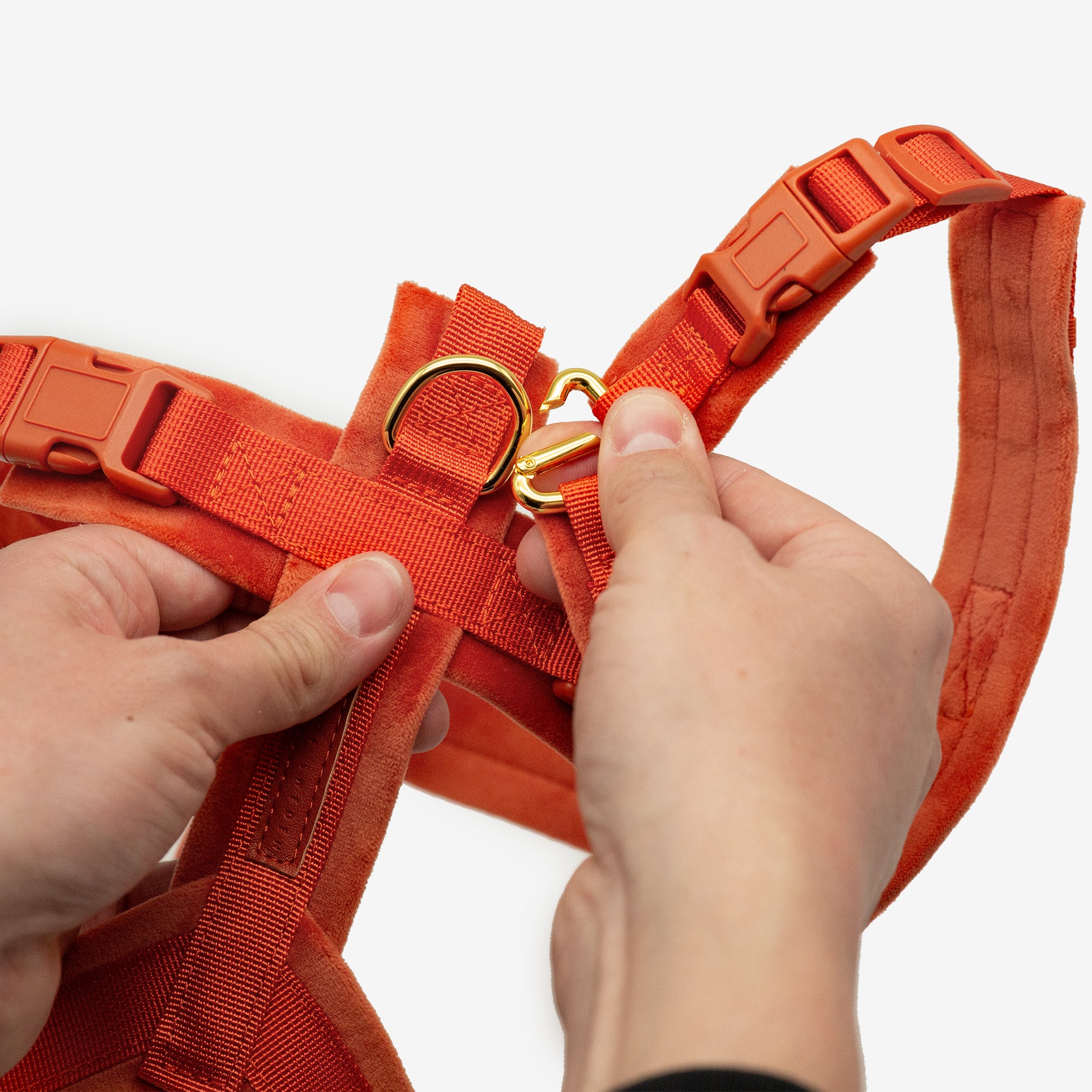 Koniakowy Y-Harness XS