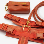 Koniakowy Y-Harness XS