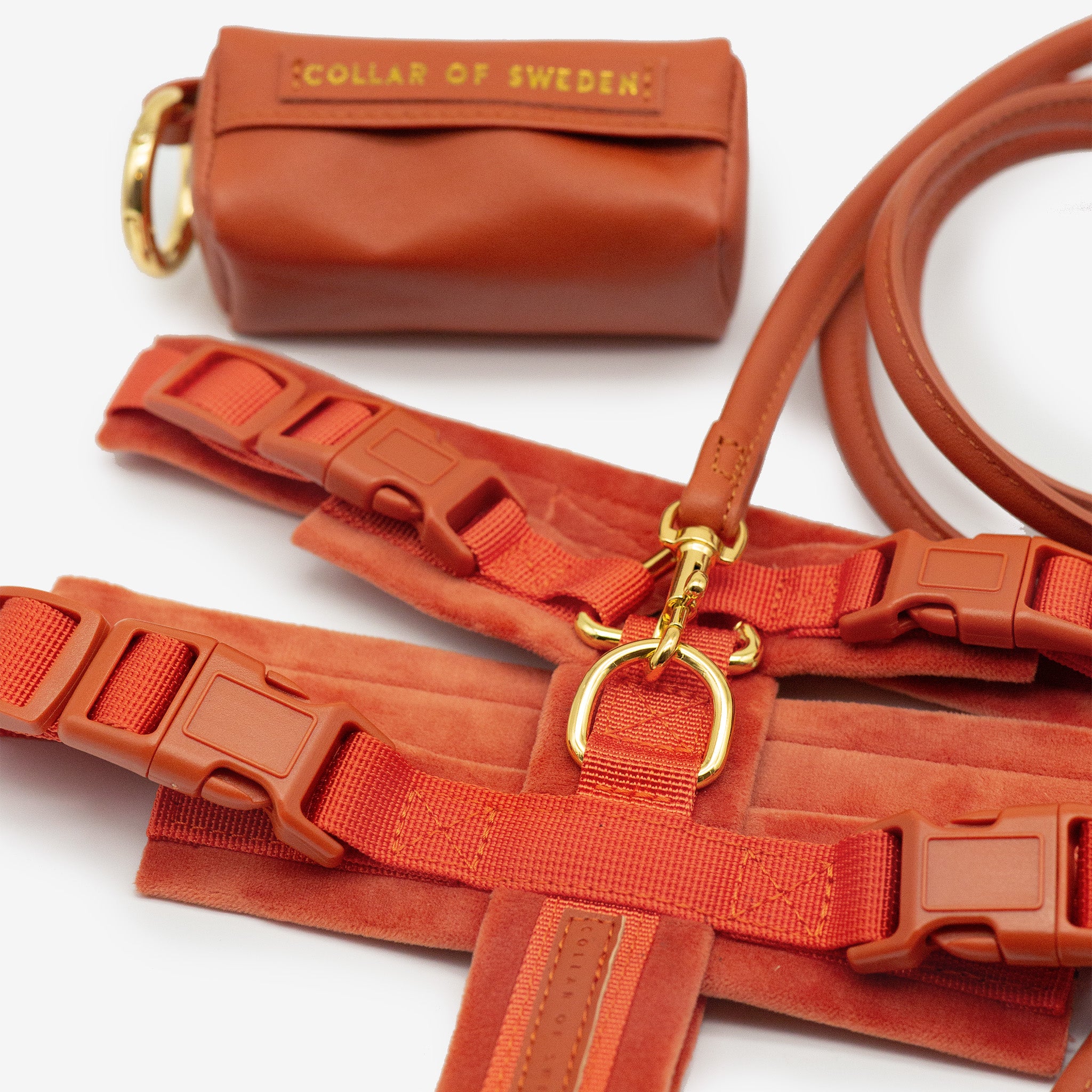 Koniakowy Y-Harness XS