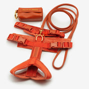 Koniakowy Y-Harness XS