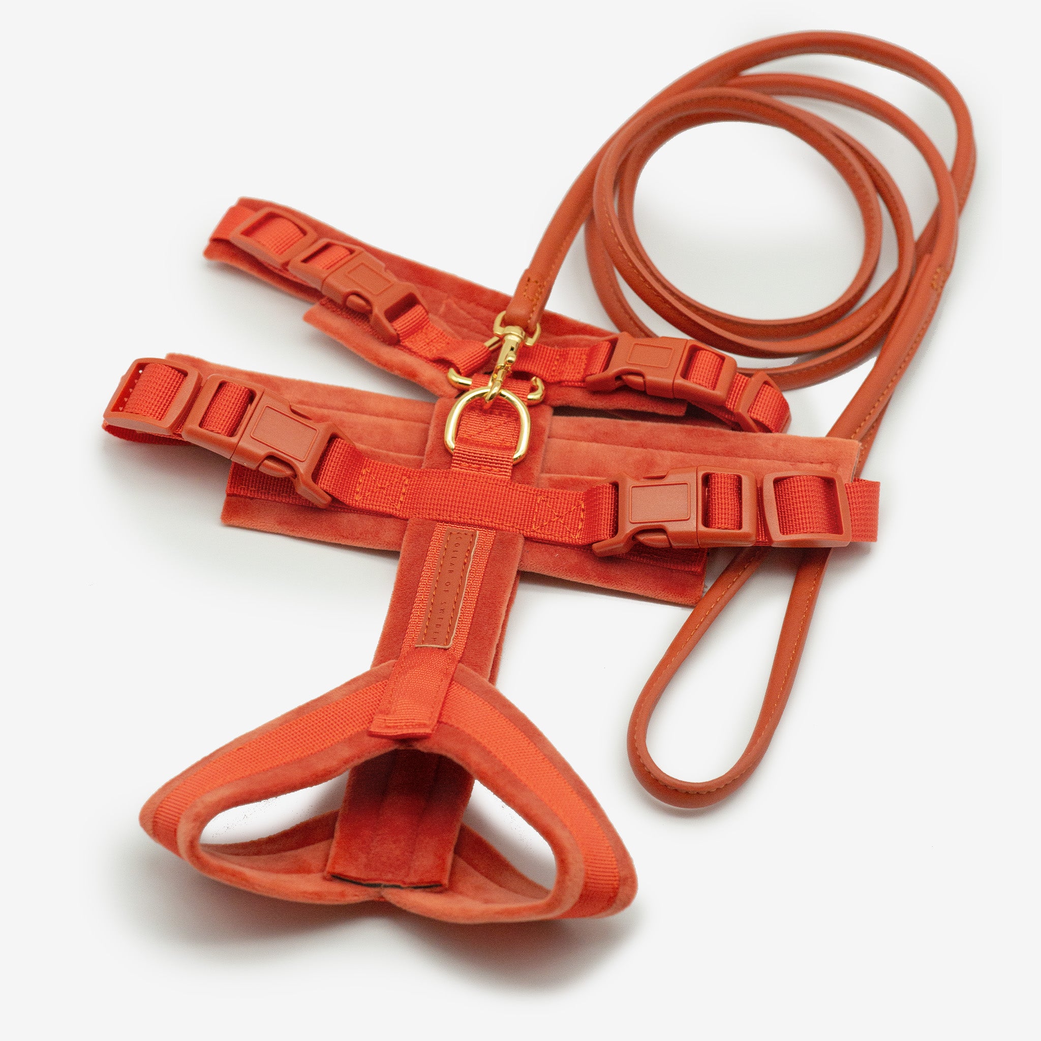 Koniakowy Y-Harness XS