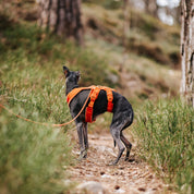 Koniakowy Y-Harness XS