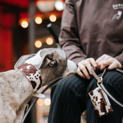 Szeroki obroża dla psa z motywem krowy