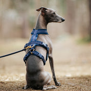 Ciemnoniebieski Y-Harness XS