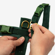 Ciemnozielony Y-Harness XS