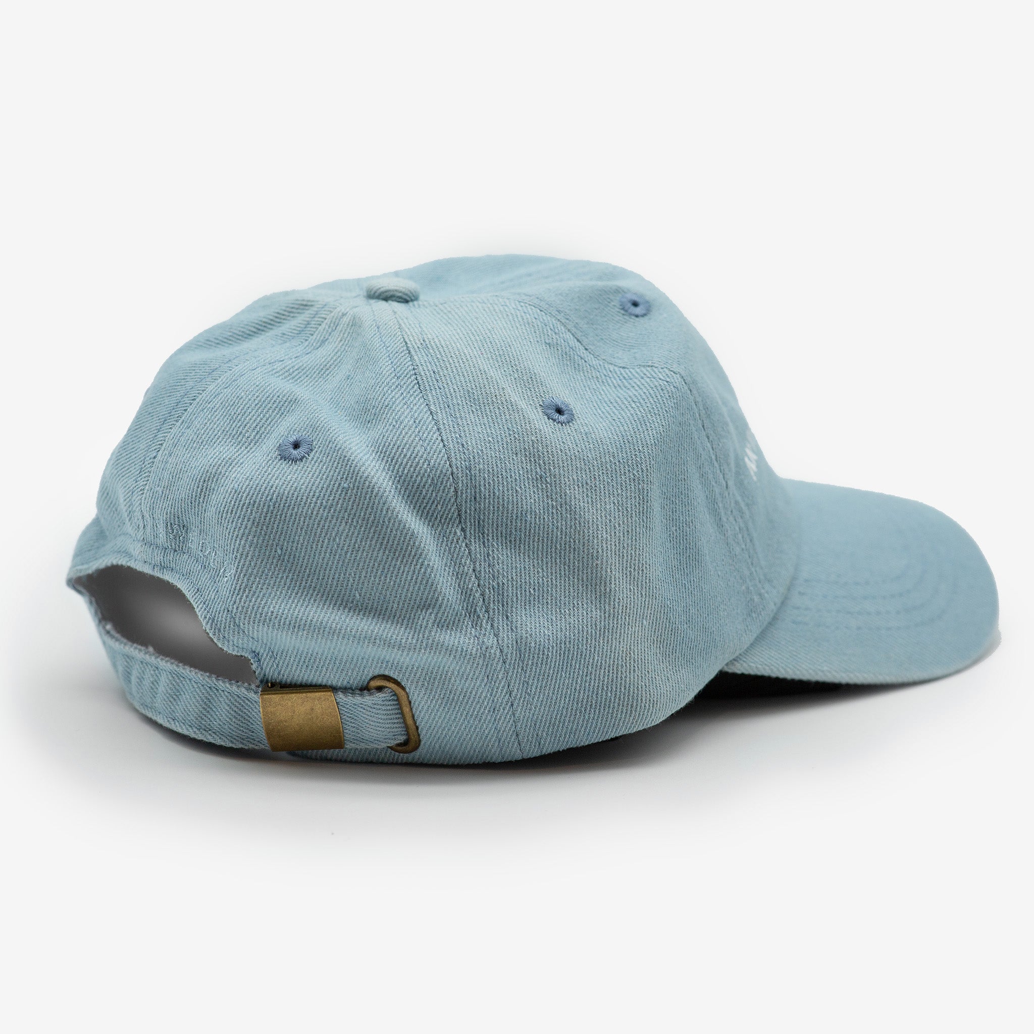Denim Cap - Antyspołeczny Właściciel Psa
