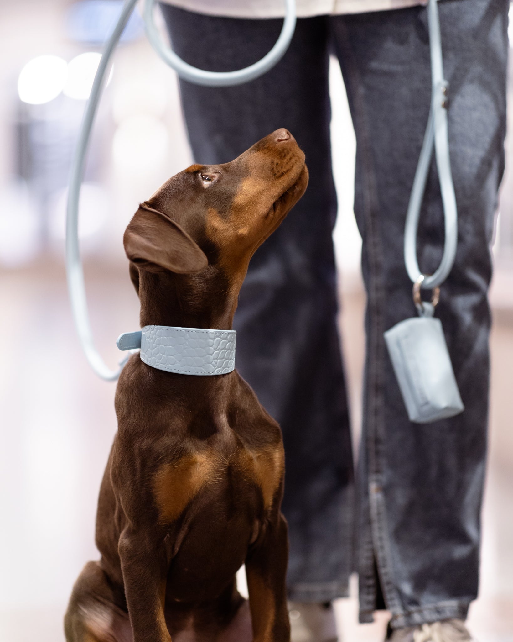 Niebieski uchwyt na worek na psie odchody Baby Blue.