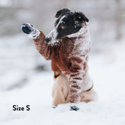 Skarpetki dla psa - 4 sztuki