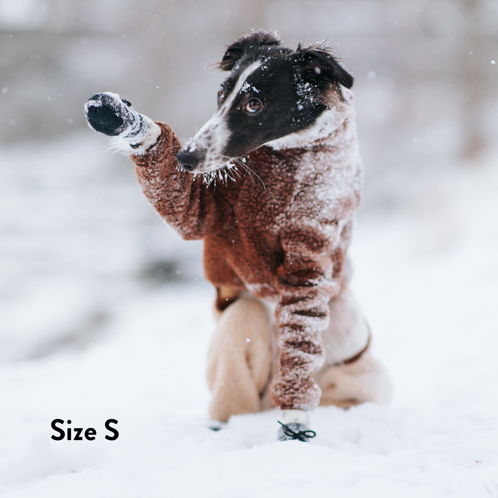 Skarpetki dla psa - 4 sztuki