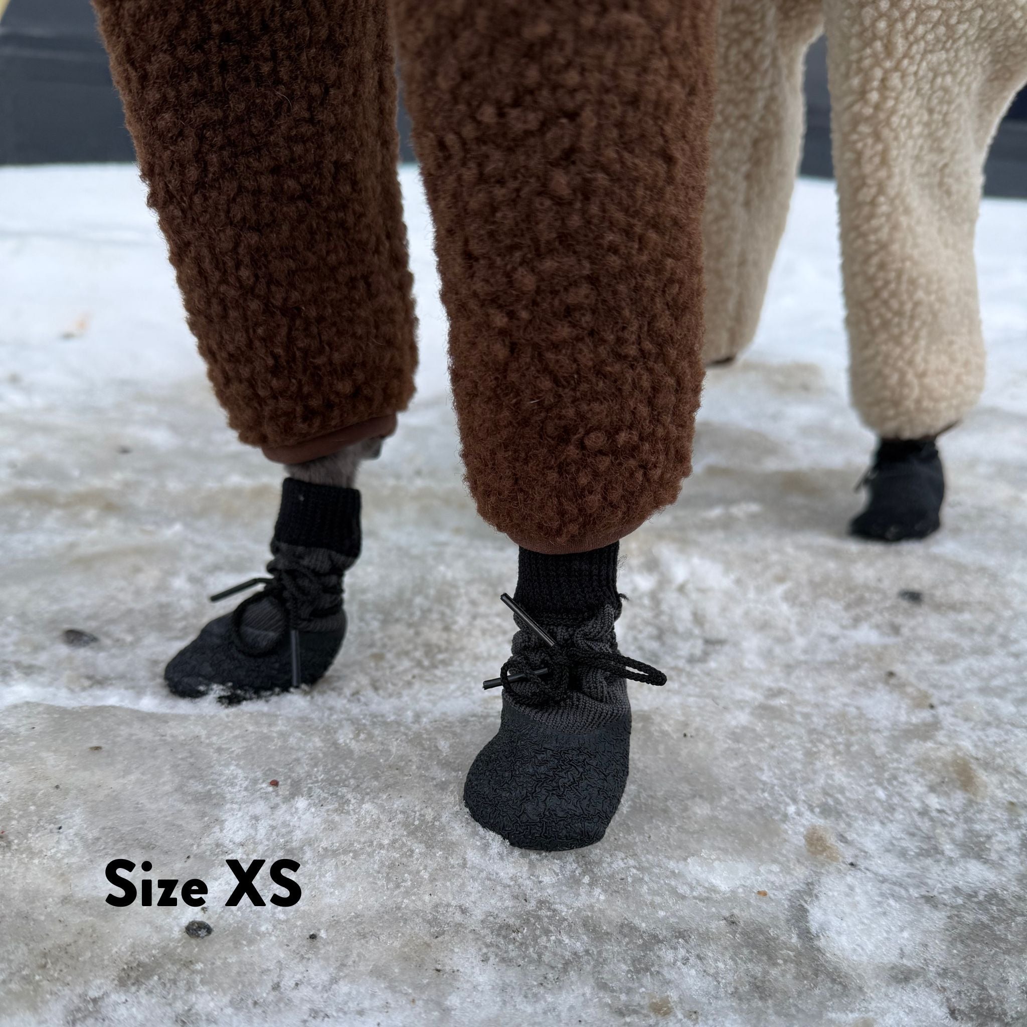 Skarpetki dla psa - 4 sztuki