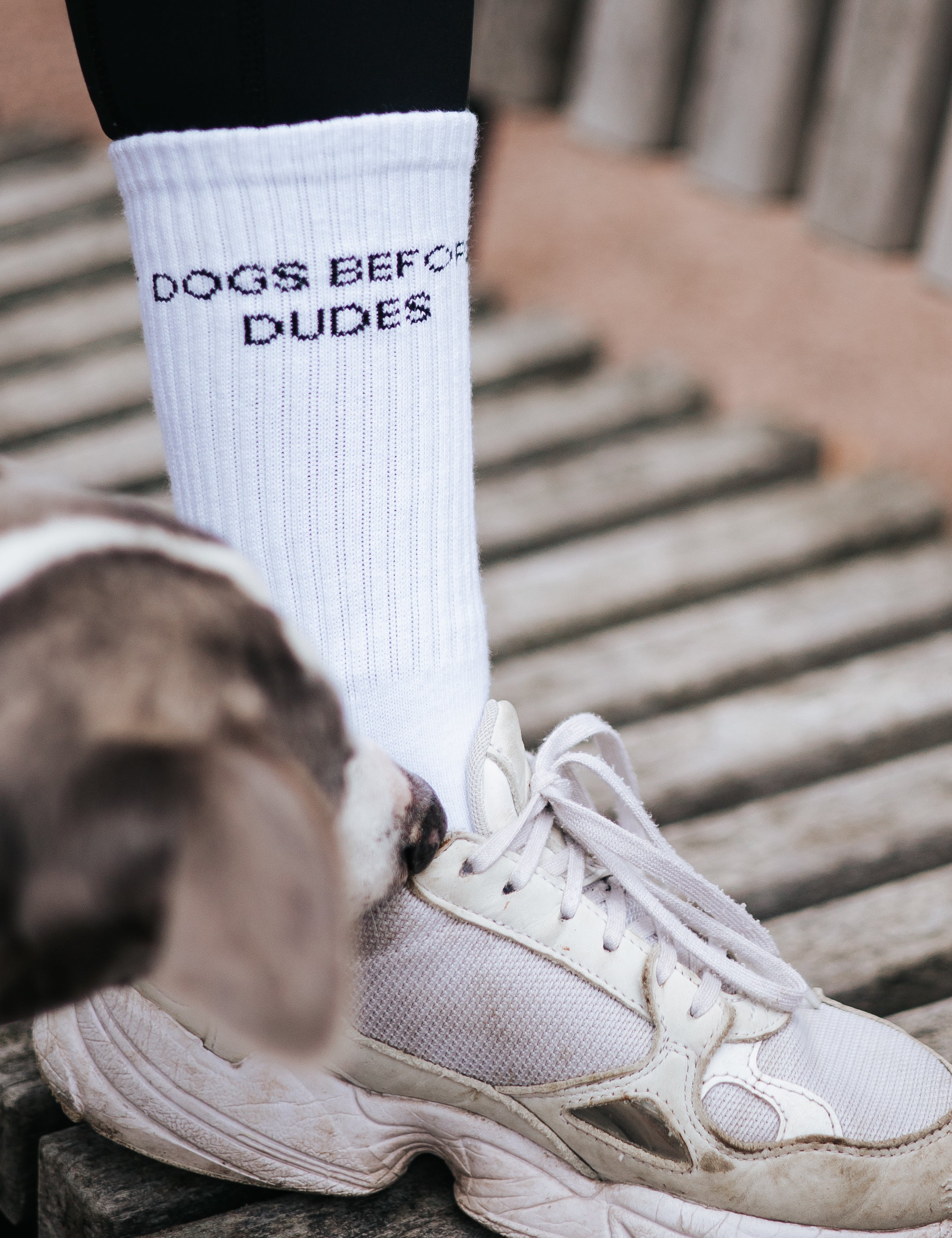 Biała skarpeta rurkowa - Dogs Before Dudes