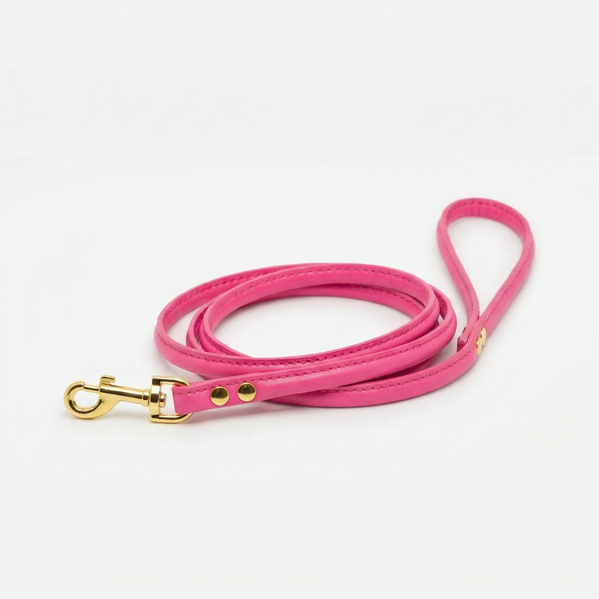 hot-pink-dog-lead-medium-gold.jpg