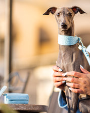 Niebieski uchwyt na worek na psie odchody Baby Blue.