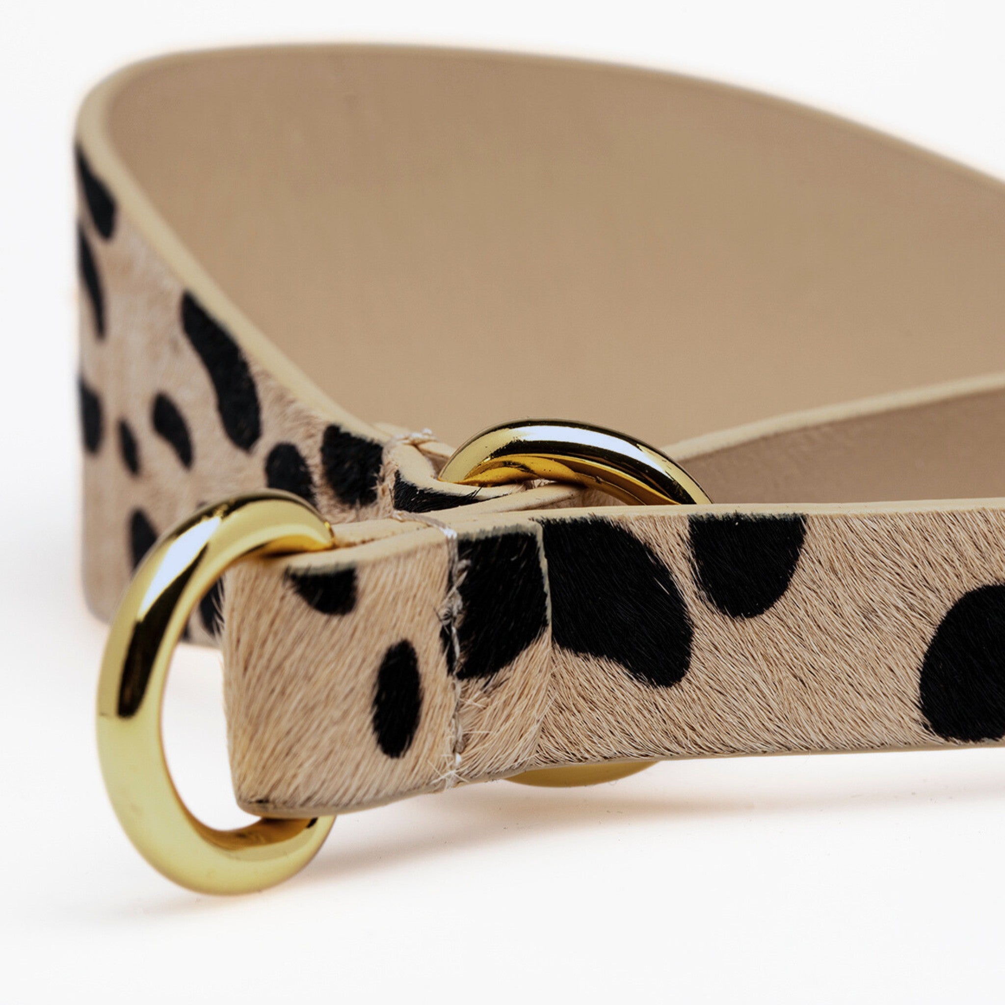 Pasek dla psa Leopard Dog Martingale Wide