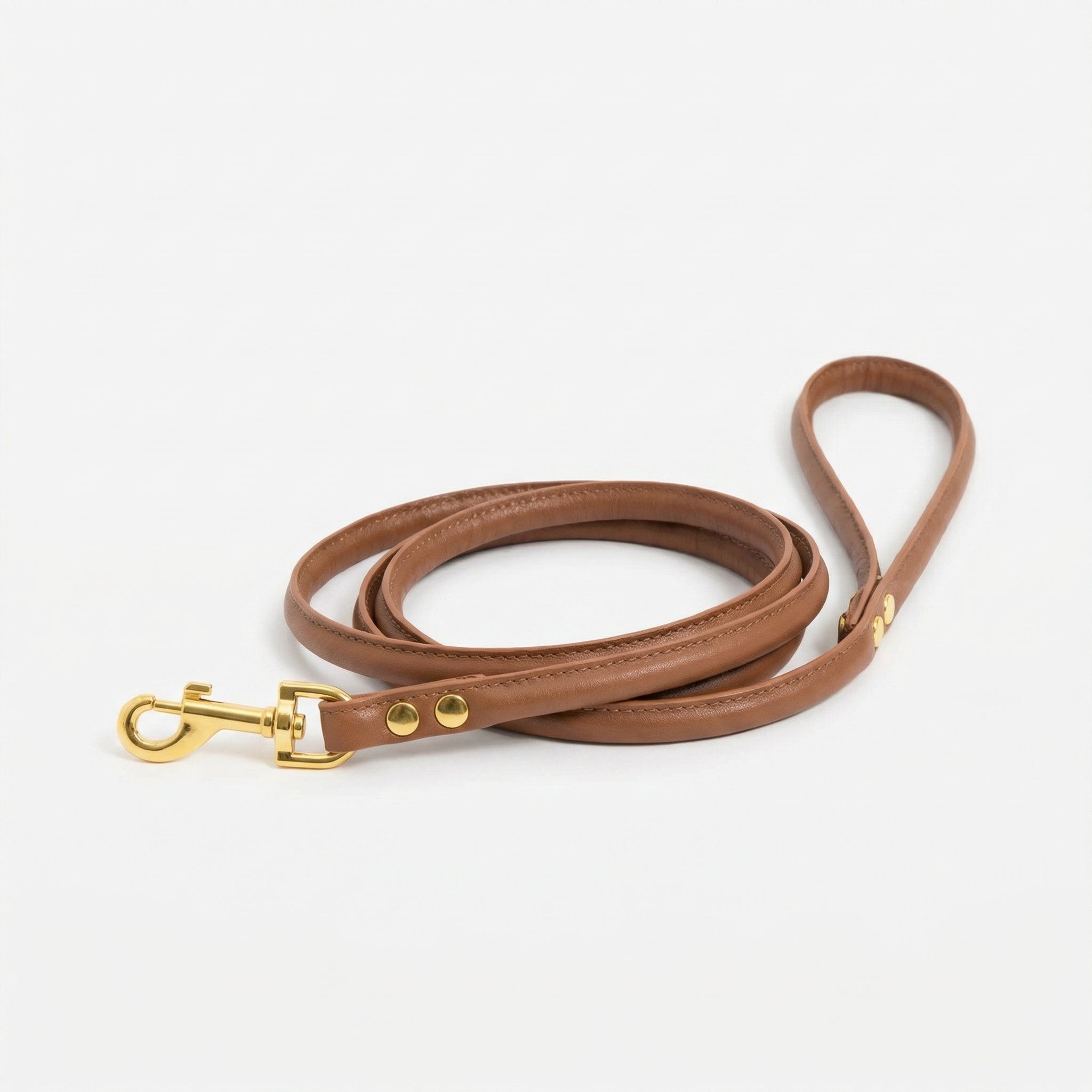 mocha-brown-dog-lead-medium-gold.jpg