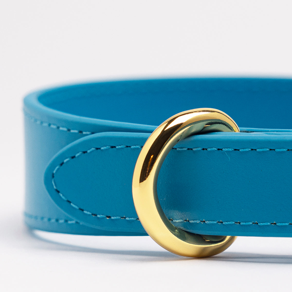 Neon Blue Dog Collar Thin - Niebieski obroża dla psa - cienki