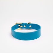 Neon Blue Dog Collar Thin - Niebieski obroża dla psa - cienki