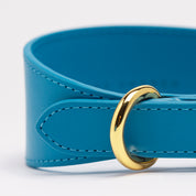 Neon Blue Dog Collar Wide