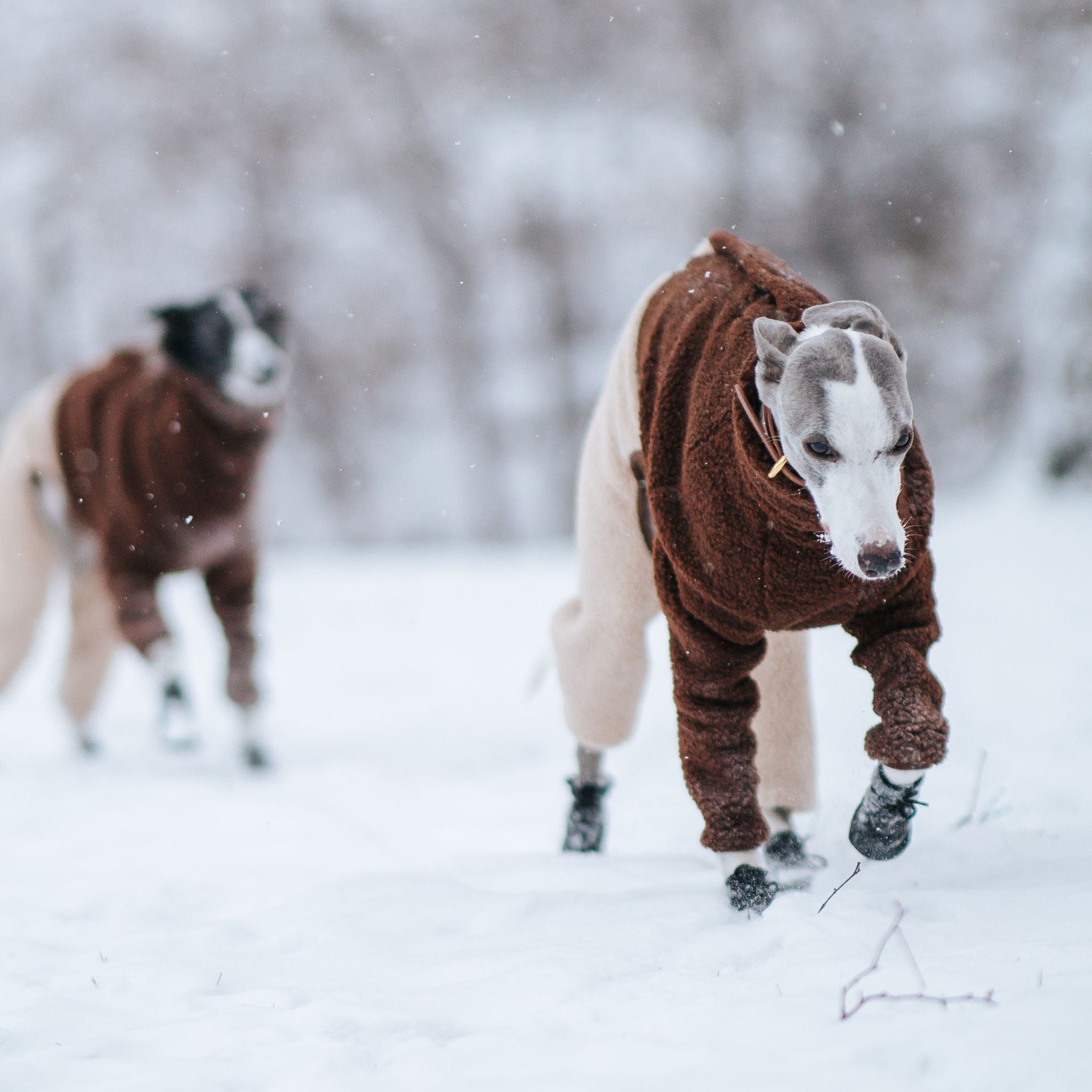 Beige & Brown Sighthound Fleece Onesie