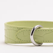 Pastelowa zielona obroża dla psa Thin Croco