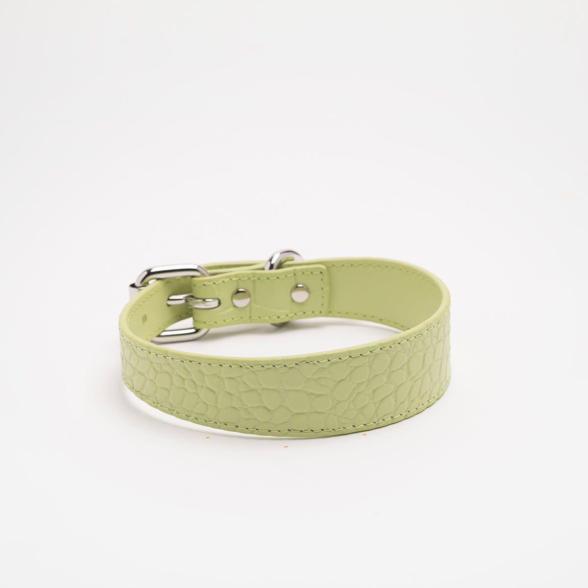 Pastelowa zielona obroża dla psa Thin Croco