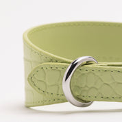 Pastel Green Croco Szeroki Obojczyk Dla Psów