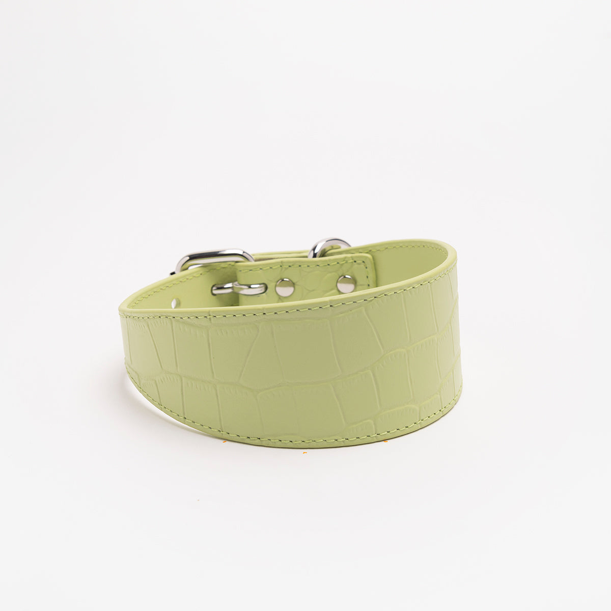 Pastel Green Croco Szeroki Obojczyk Dla Psów