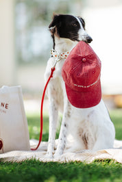 Czerwona dżinsowa czapka - My Dog Is My Shrink