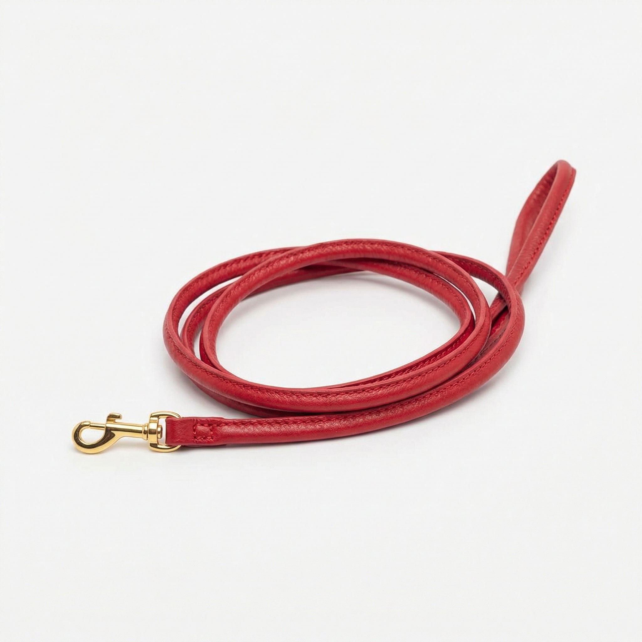 red-dog-lead-small-gold.jpg