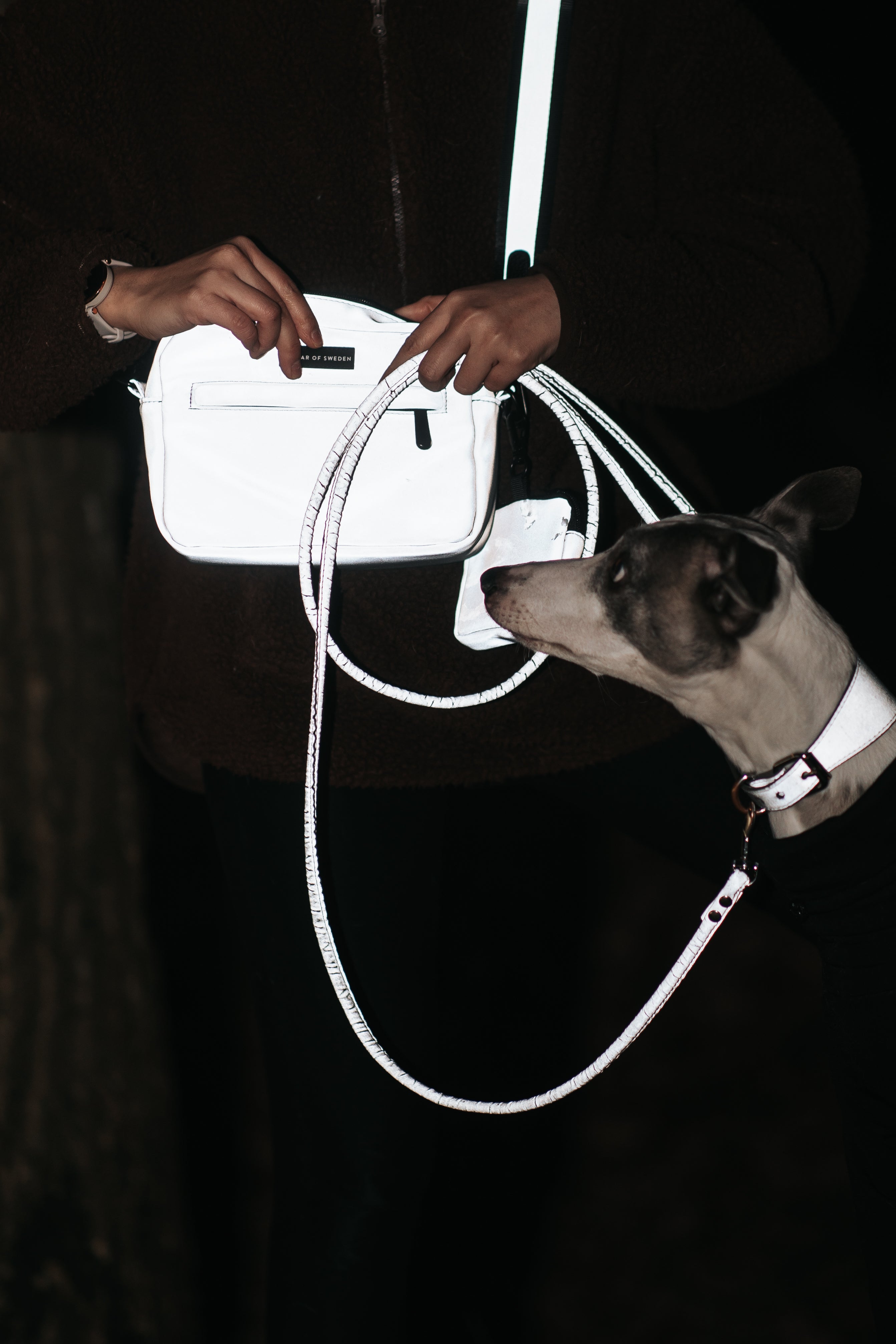 Paszcz dla psa Reflective Dog Walking Bag - na ramię