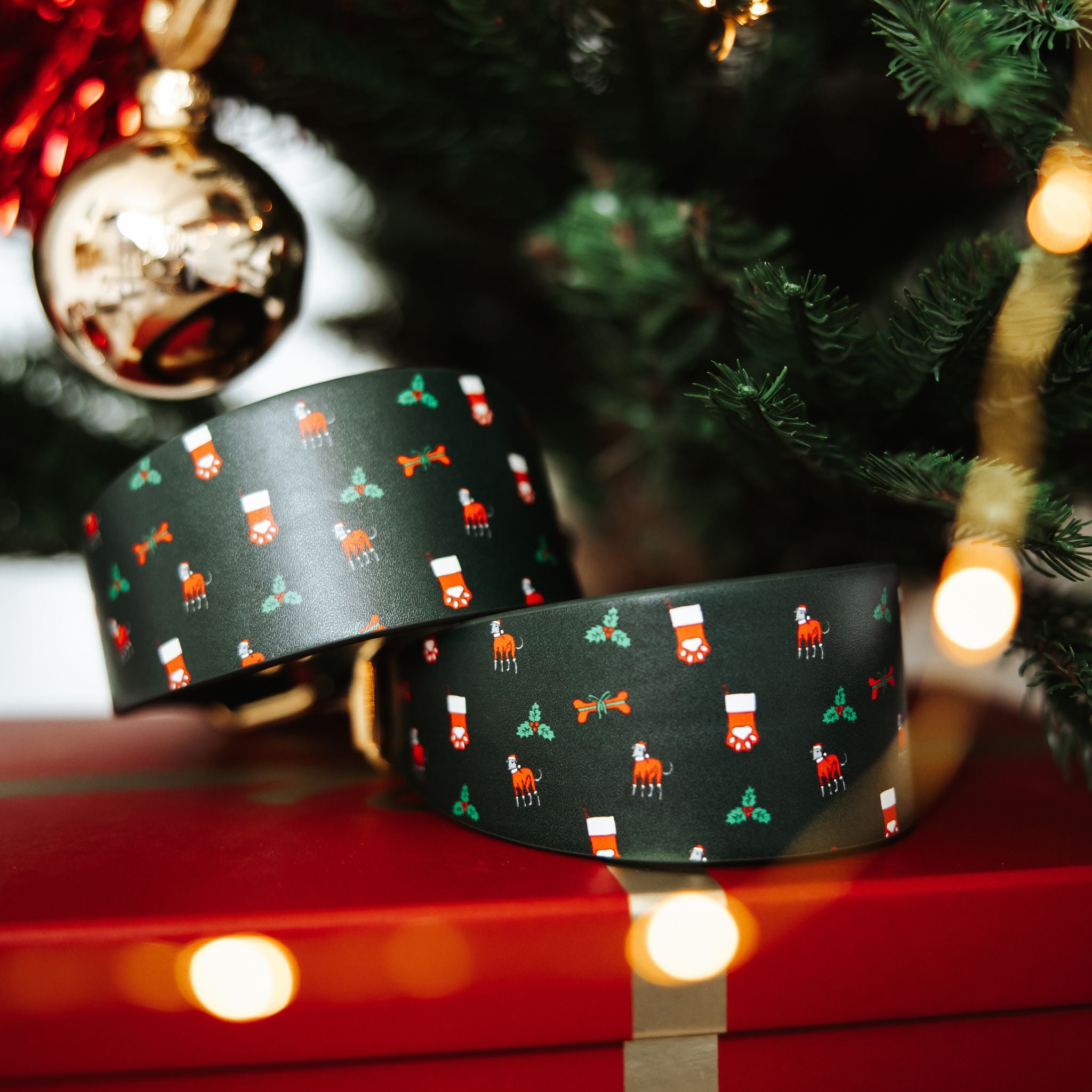 Santa Paws Christmas Dog Collar Wide